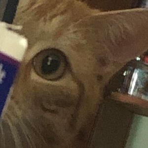 Meet your Posher, Charles